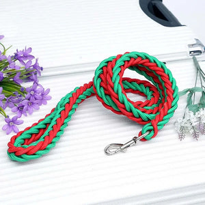 Braided nylon rope leash for medium to large dogs