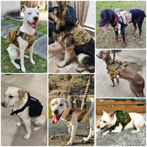TactiGear Military Dog Harness & Leash Set - GoPoofy