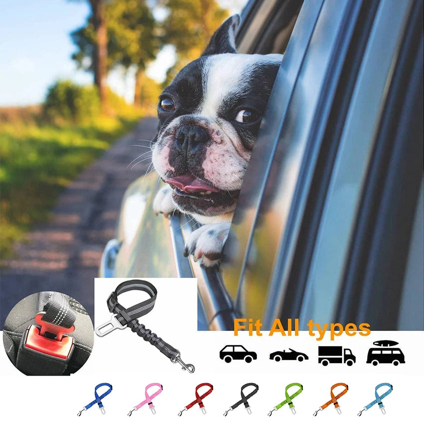 Dog Car Seat Belt — Adjustable Safety Restraint Harness for Small & Medium Dogs (UK Highway Code Rule 57 Compliant)
