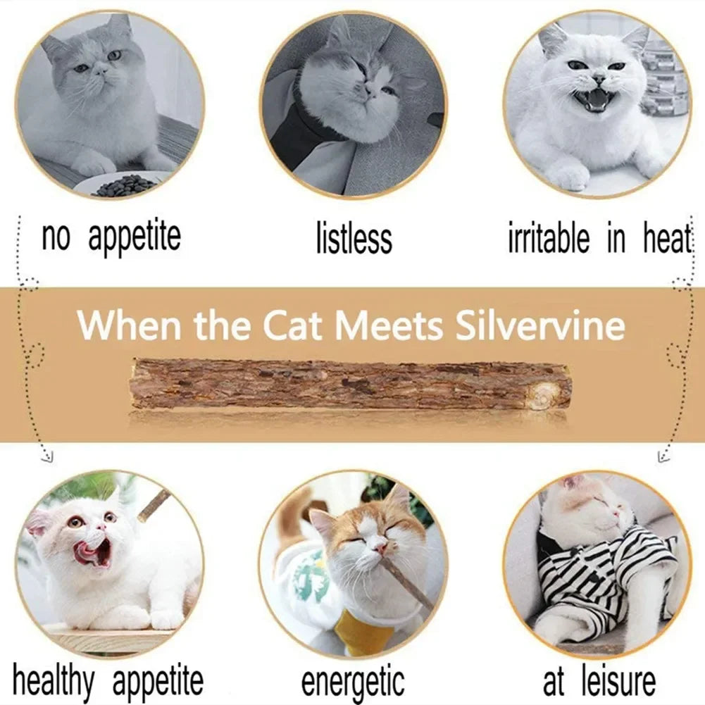 Natural matatabi silvervine chew sticks for cats
