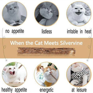 Natural matatabi silvervine chew sticks for cats