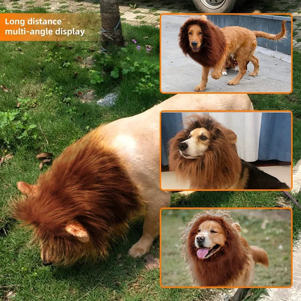 Lion mane costume wig for medium to large dogs