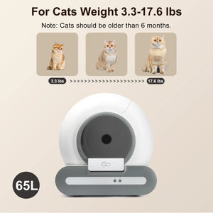 Pet product for cats with weight range and cat illustrations on a beige background
