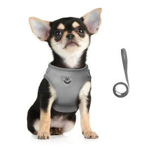 Reflective mesh harness and lead set for cats and small dogs