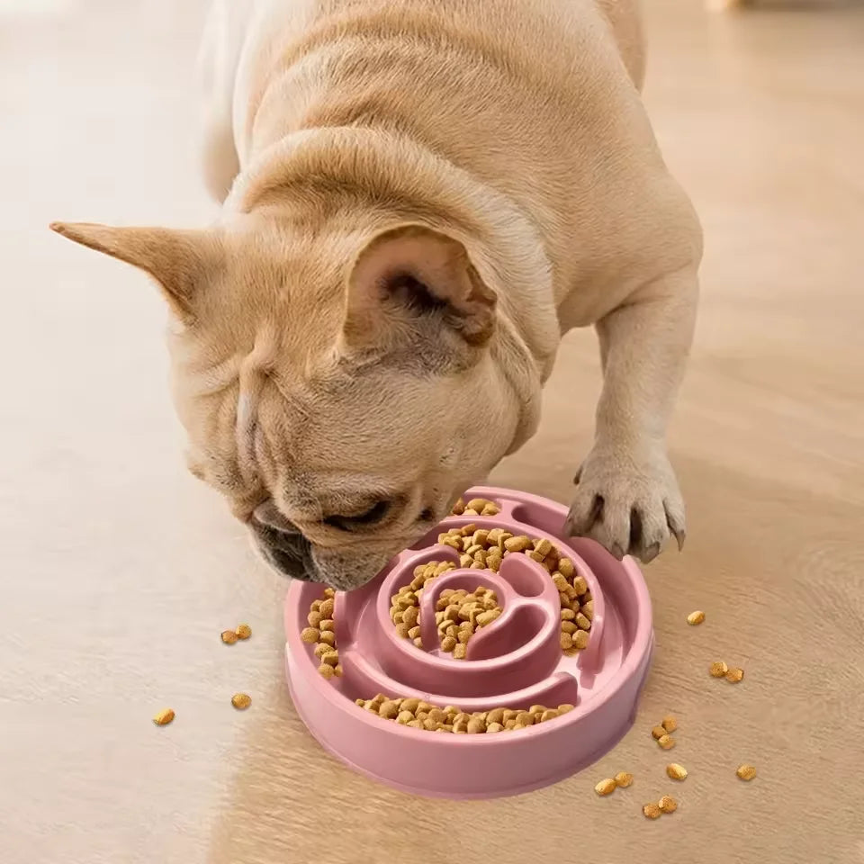 Slow-feeding bowl for dogs and cats to help prevent choking and fast eating