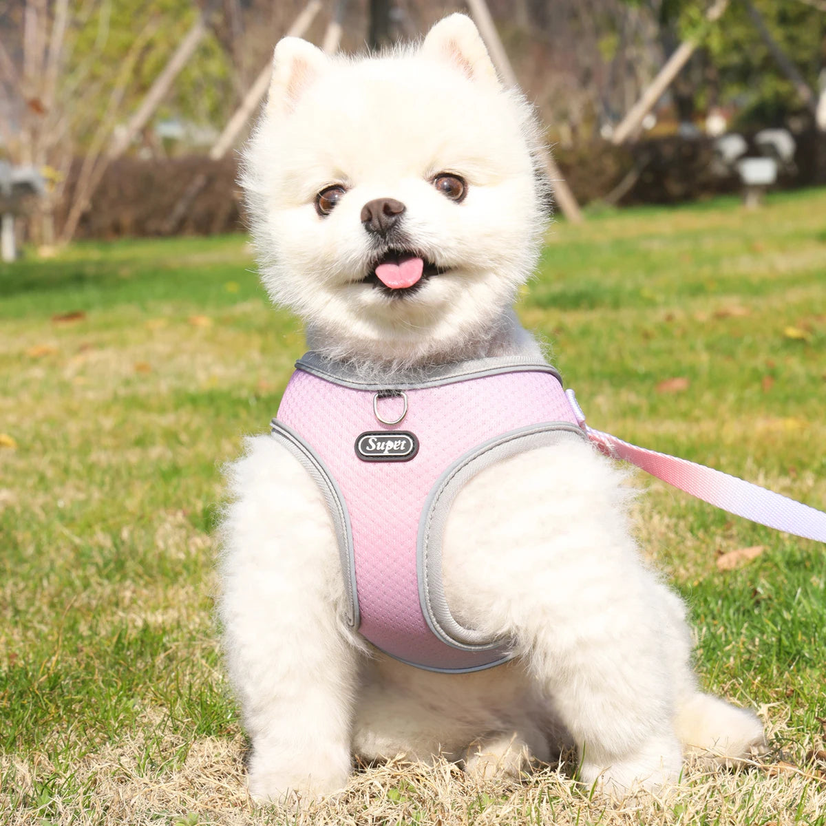 Adjustable reflective step-in vest harness for dogs and cats