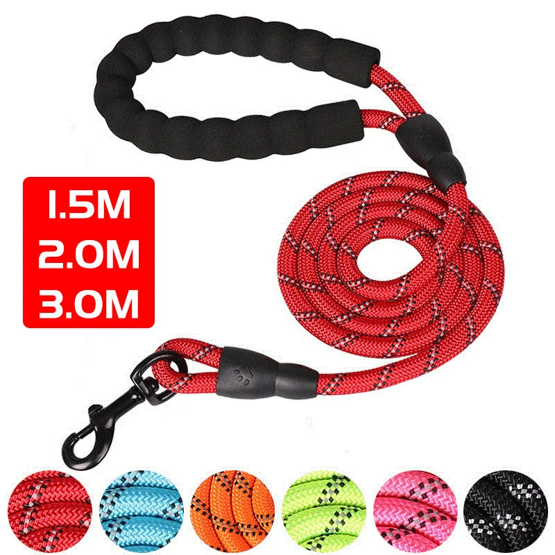 ReflectaWalk Dog Leash - GoPoofy