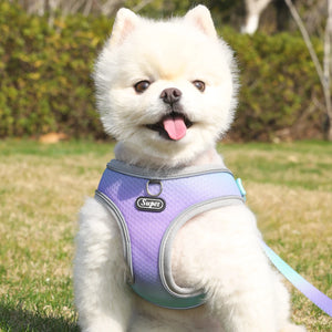 Adjustable reflective step-in vest harness for dogs and cats