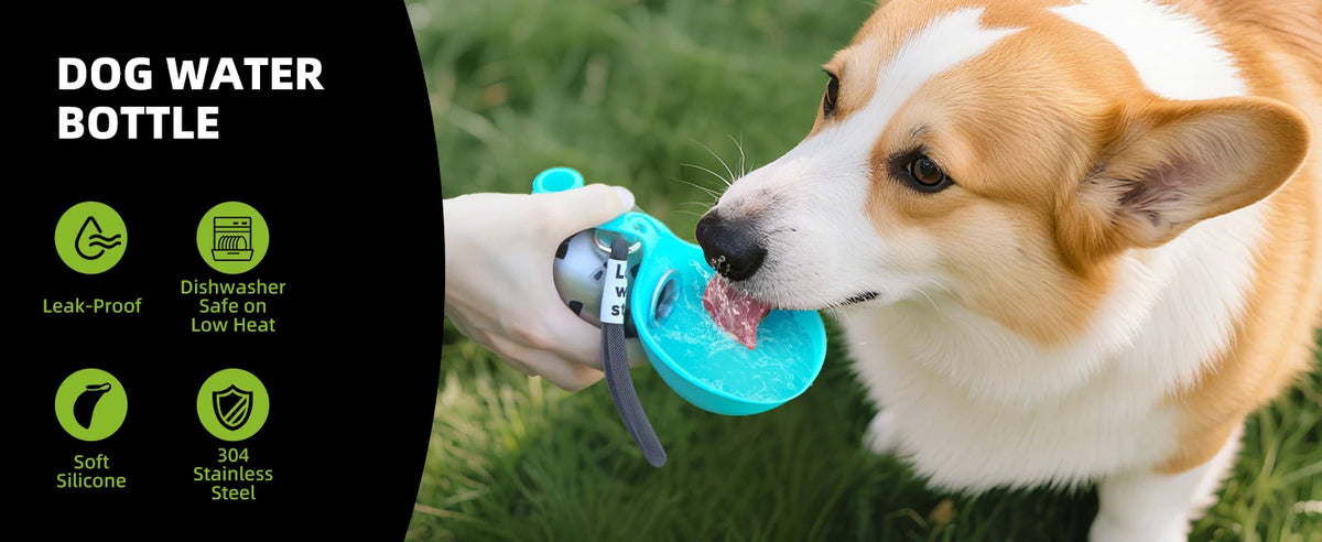 Leak-proof stainless steel water bottle with bowl attachment for dogs