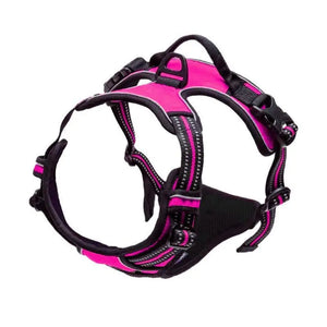 Front-clip reflective no-pull harness for medium to large dogs