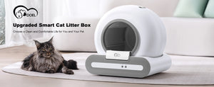 Smart cat litter box with a cat lying on a mat in a living room setting.