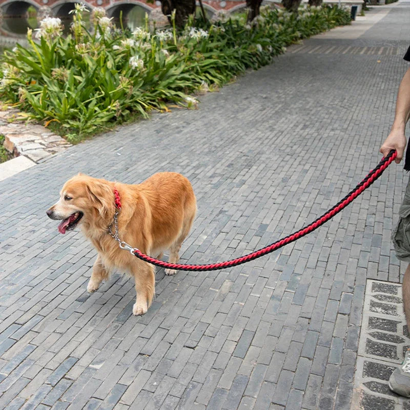 Braided nylon rope leash for medium to large dogs