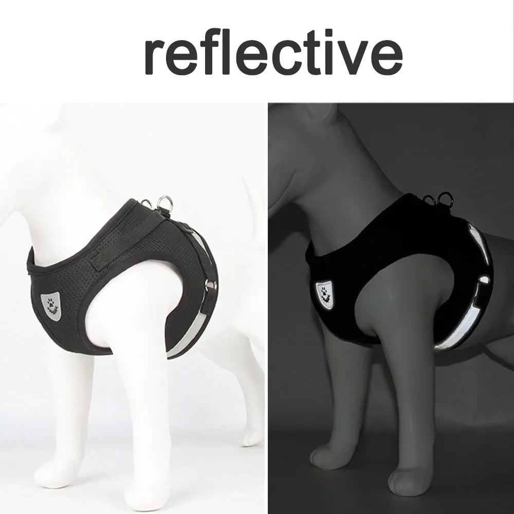 Reflective mesh harness and lead set for cats and small dogs