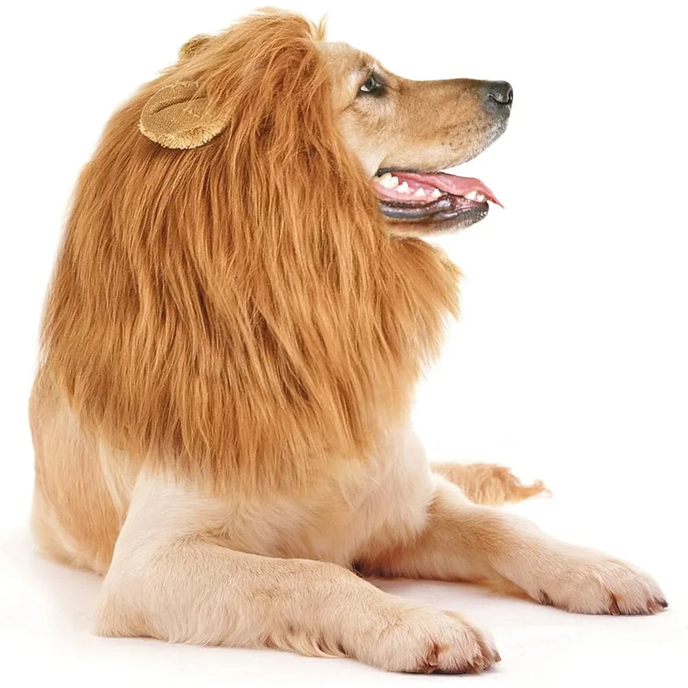 Lion mane costume wig for medium to large dogs