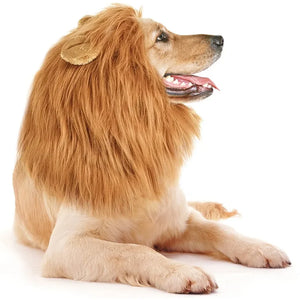 Lion mane costume wig for medium to large dogs
