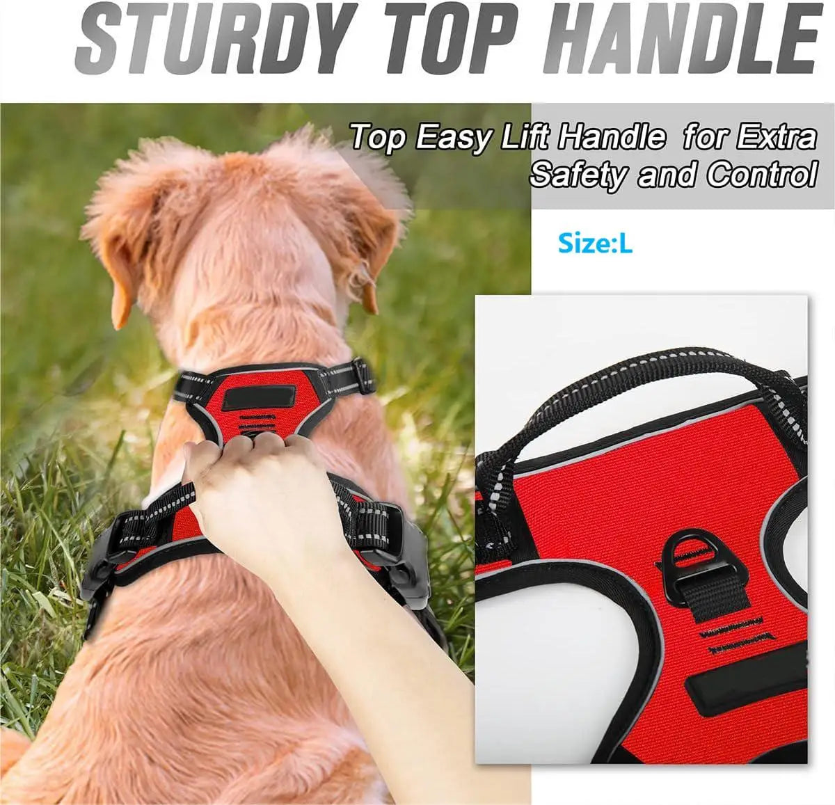 Front-clip reflective no-pull harness for medium to large dogs
