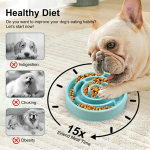 Slow-feeding bowl for dogs and cats to help prevent choking and fast eating