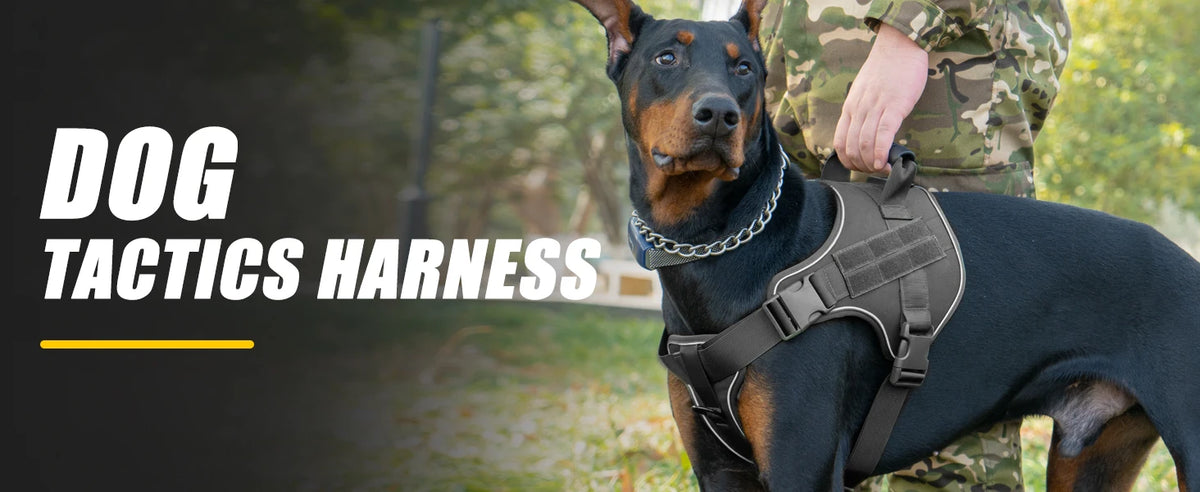 Reflective tactical-style training vest harness for dogs