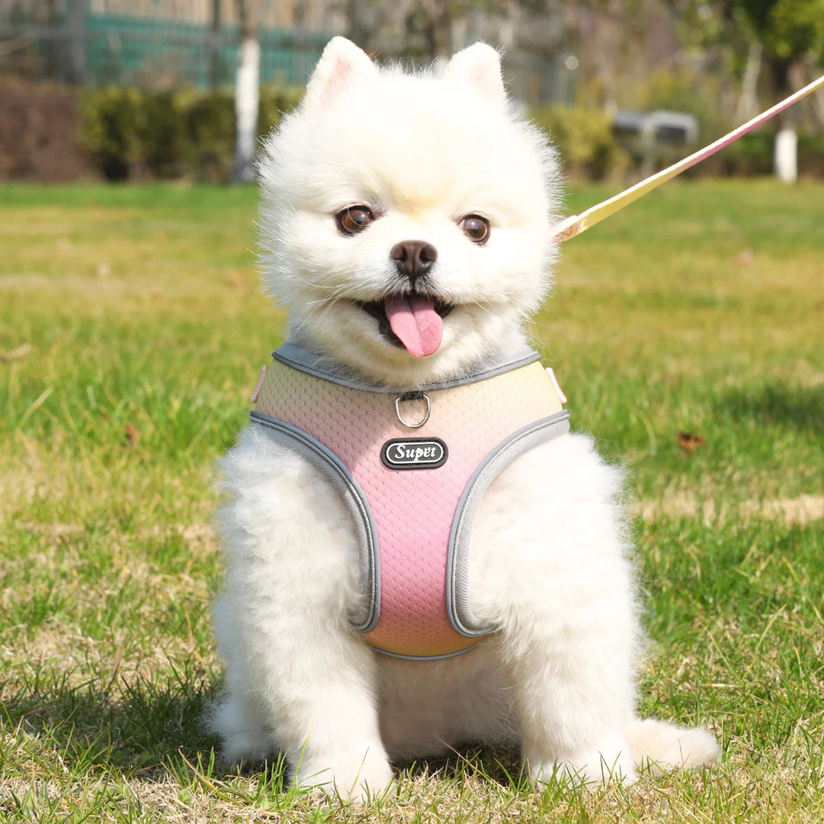 Adjustable reflective step-in vest harness for dogs and cats