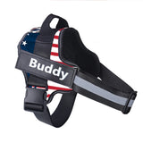 Personalized dog harness — Size XXL