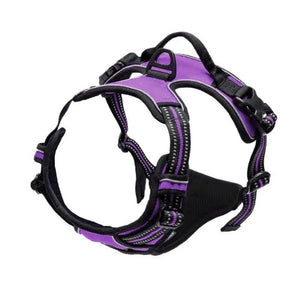 Front-clip reflective no-pull harness for medium to large dogs