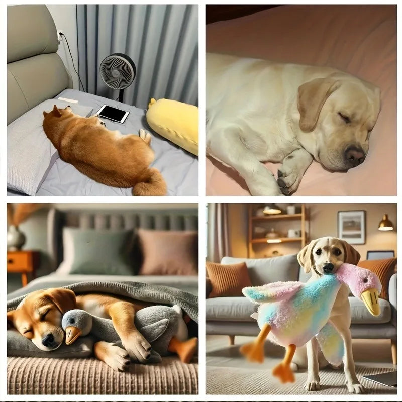 Soft plush duck companion toy for dogs and cats