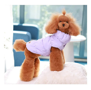 Insulated winter jacket for dogs and cats
