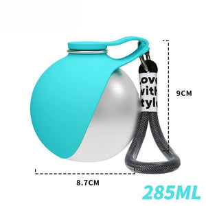 Stainless steel dog water bottle with built-in silicone bowl