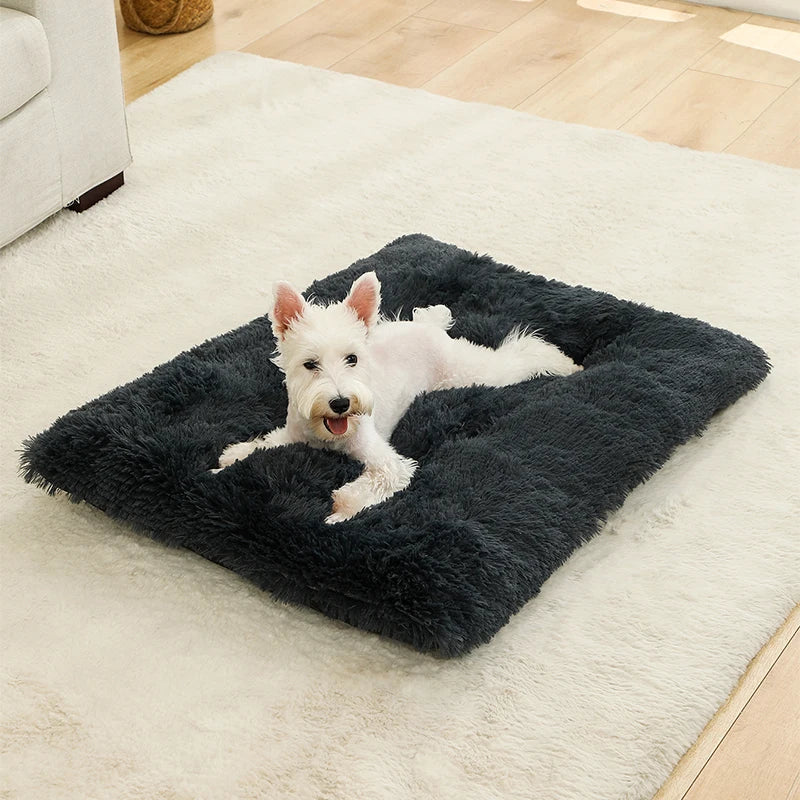 Soft plush cotton sofa bed for dogs and cats
