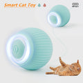 PawPlay Smart Rolling Ball - GoPoofy