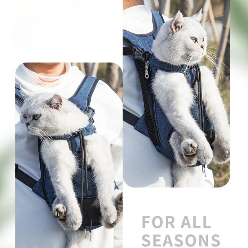 Breathable mesh pet carrier backpack for small dogs and cats