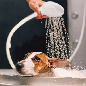 Multifunctional pet bathing shower sprayer for dogs and cats