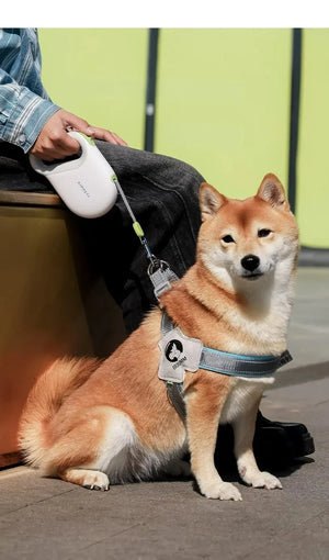 Retractable dog leash with adjustable 3m or 5m length