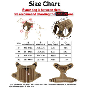 Adjustable training harness and leash set for medium to large dogs