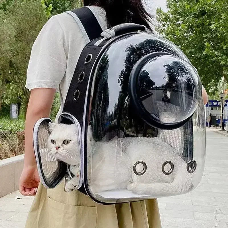 Transparent bubble backpack pet carrier for cats and small dogs