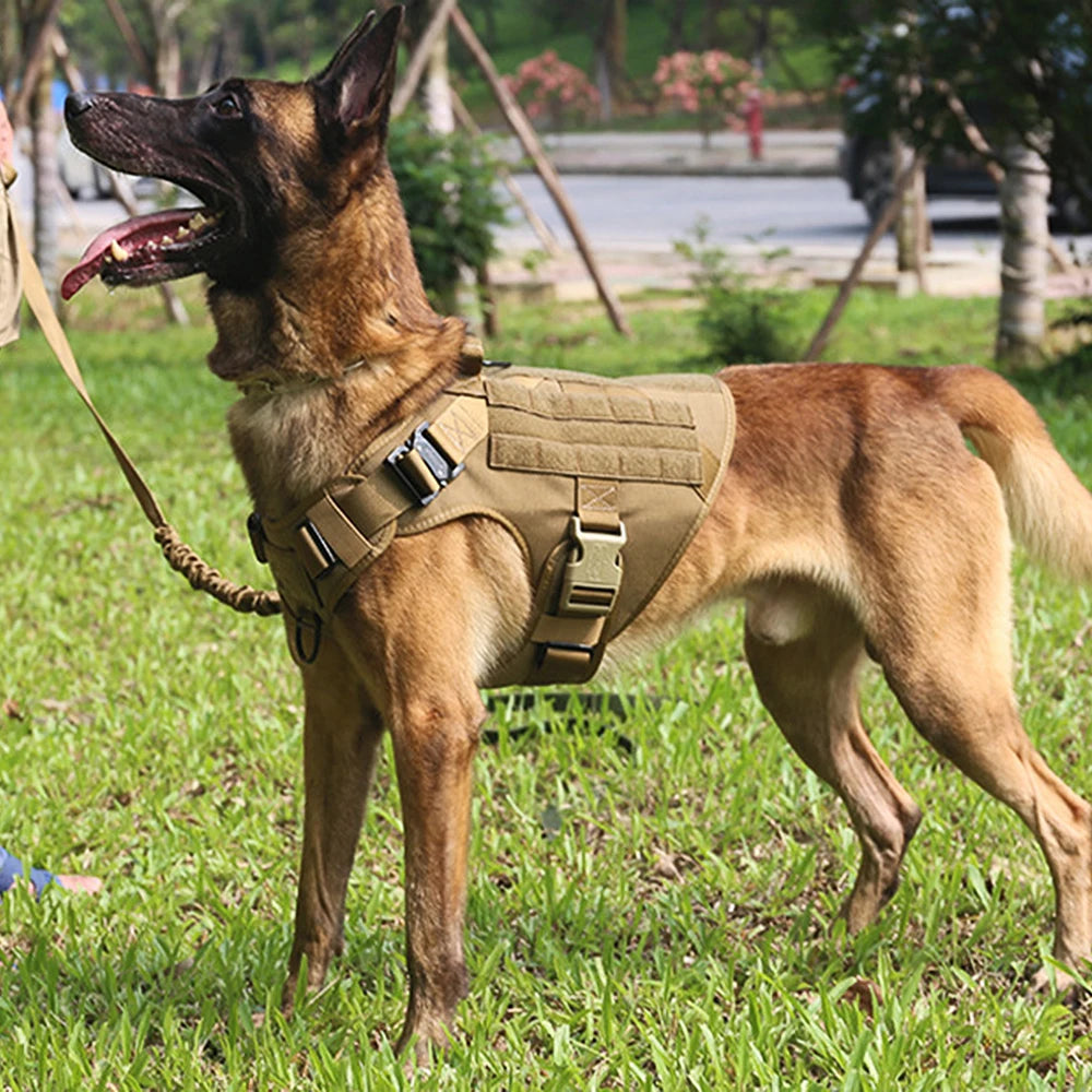 Adjustable training harness and leash set for medium to large dogs