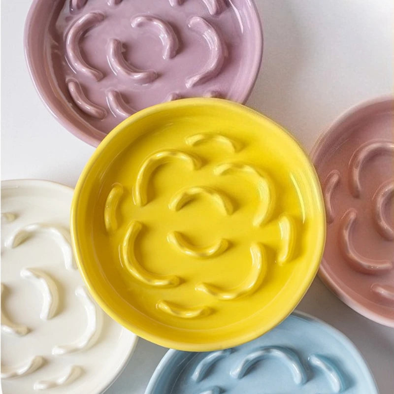 Ceramic raised slow feeder bowl for cats and dogs