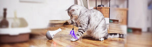 DOEL automatic feather teaser toy for interactive cat play — GoPoofy