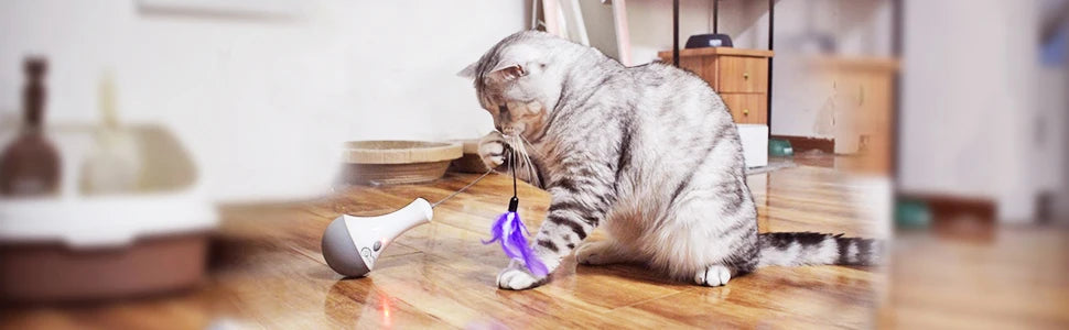 DOEL automatic feather teaser toy for interactive cat play — GoPoofy