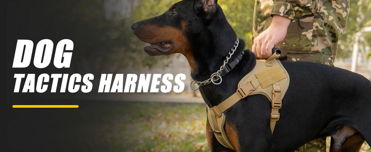 Reflective tactical-style training vest harness for dogs