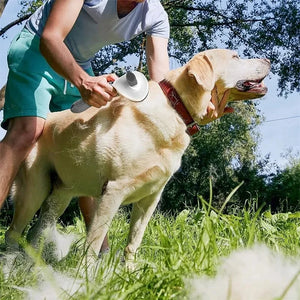 Self-cleaning hair removal grooming brush for dogs and cats