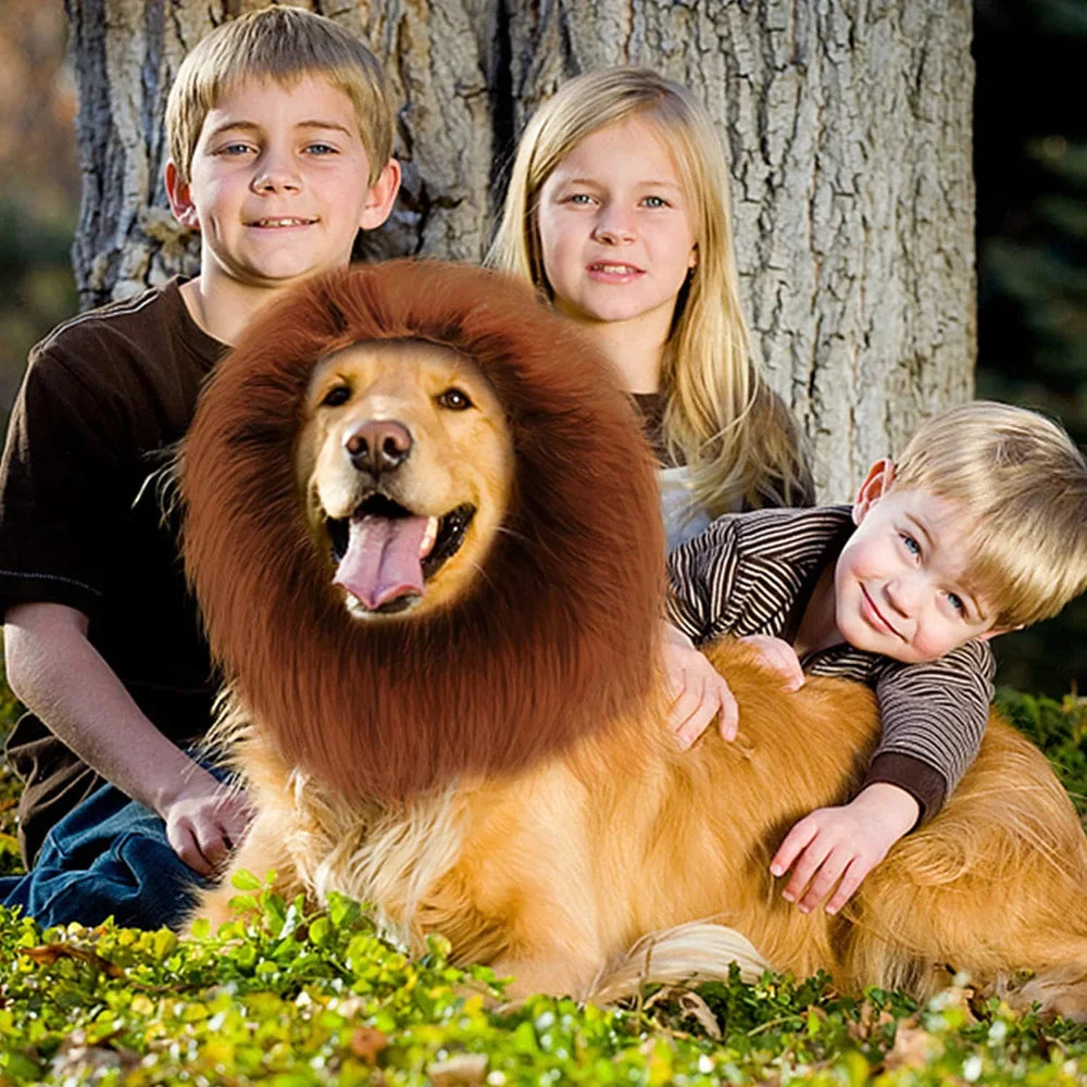 Lion mane costume wig for medium to large dogs