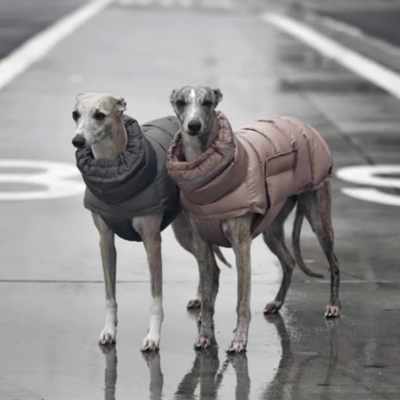 Winter Warm Dog Vest - GoPoofy
