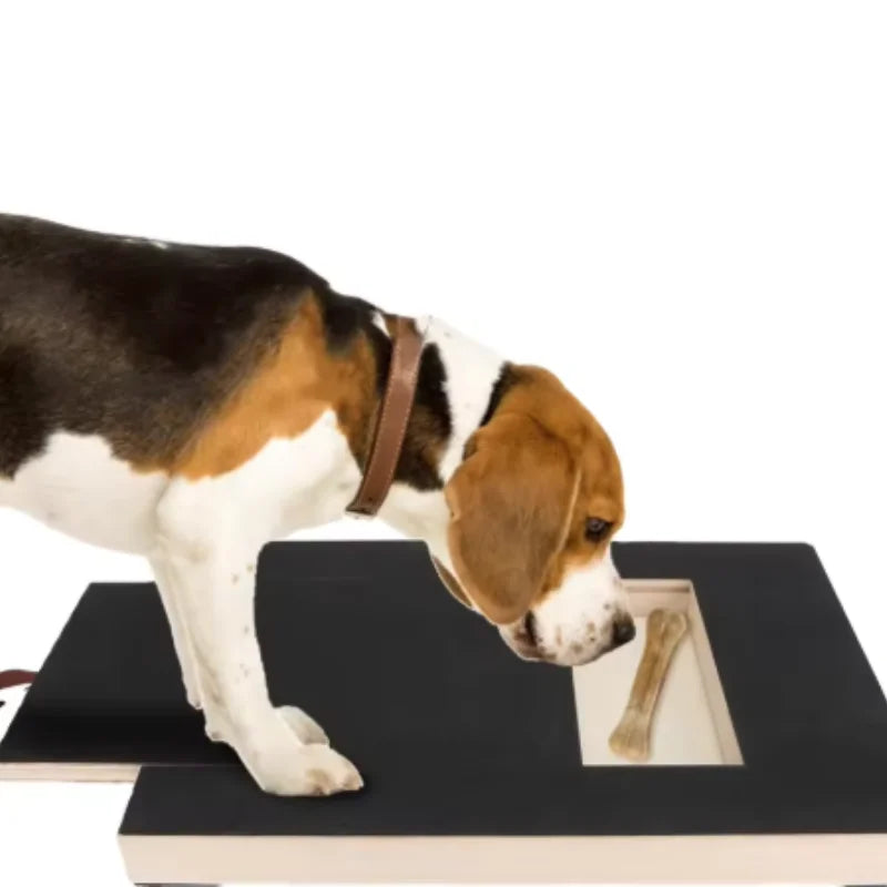 Wooden cat scratching board with built-in treat box