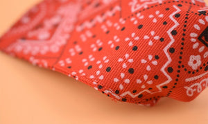 Adjustable triangle bandana scarf collar for dogs and cats