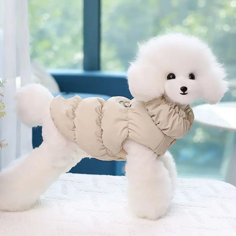 Insulated winter jacket for dogs and cats