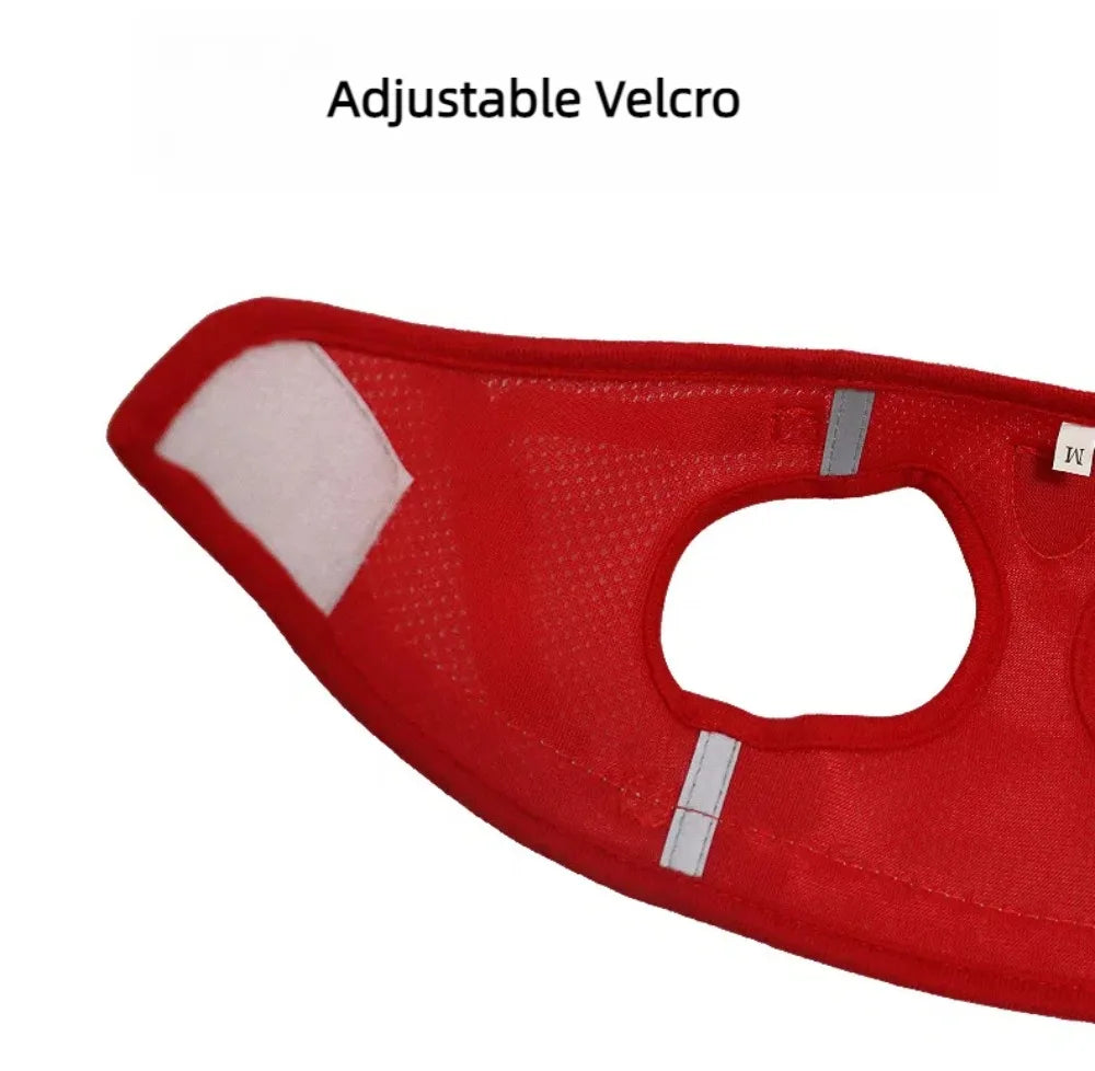 Reflective mesh harness and lead set for cats and small dogs