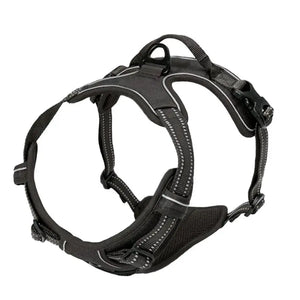 Front-clip reflective no-pull harness for medium to large dogs