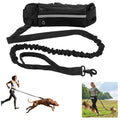 Hands-free reflective dog leash with adjustable waist belt
