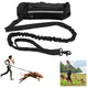 Hands-free reflective dog leash with adjustable waist belt